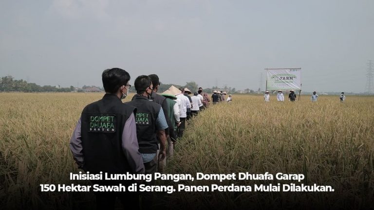 Inisiasi Lumbung Pangan, Dompet Dhuafa Garap 150 Hektar Sawah di Serang