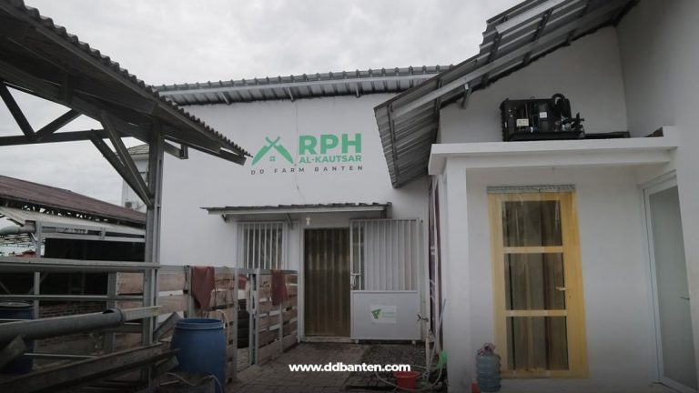 Tak Hanya Kandang, DD Farm Juga Memiliki Rumah Potong Hewan